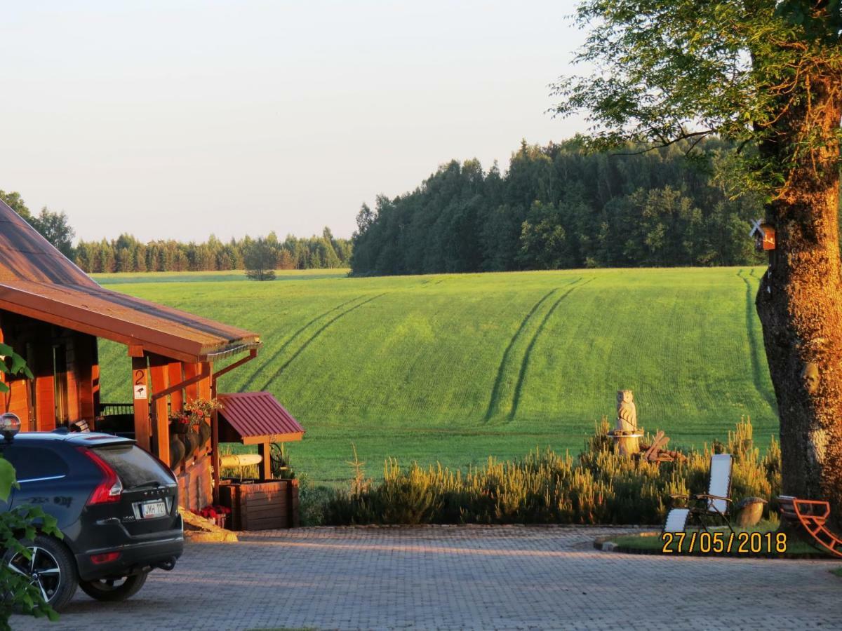 Sodyba Pas Jelena Rokiskis Exterior photo